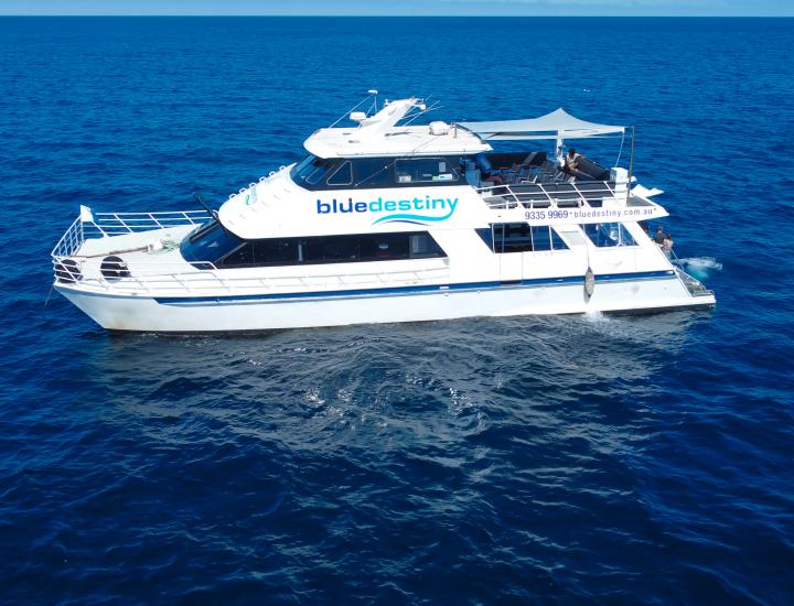 Blue Destiny vessel on the ocean 