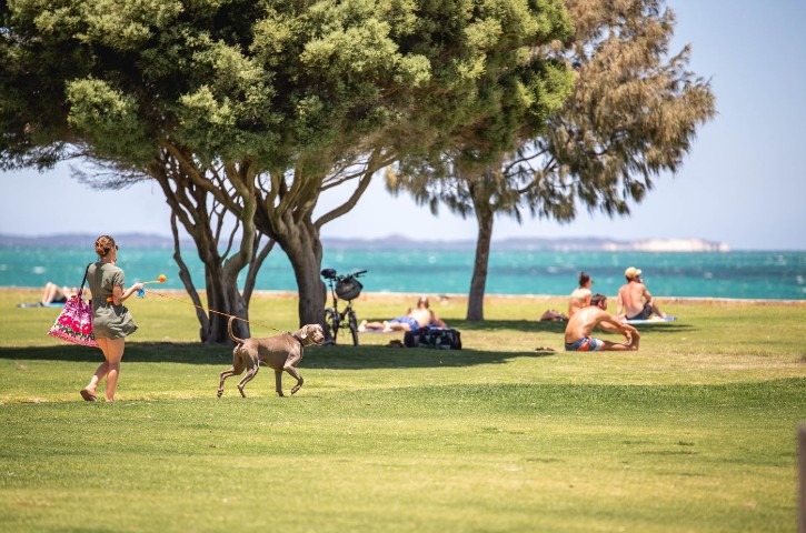Woman walking a dog, bike parked under a tree and people sunbaking on the lawn in front of South Beach with the blue ocean in the background