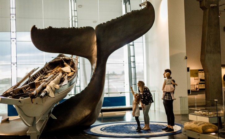 parents and child point at whale and boat in museum