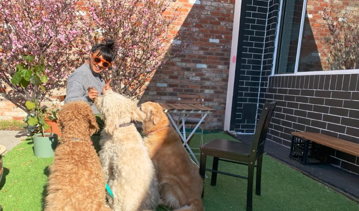 person wearing bold red sunglasses sits in front of pink blossoming tree and points at three dogs