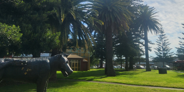 Pioneer Park heArt studio - grass and trees