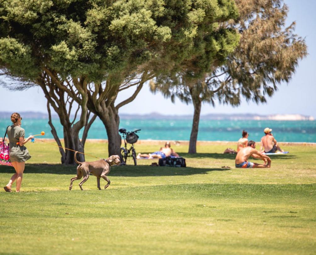South Beach lawns