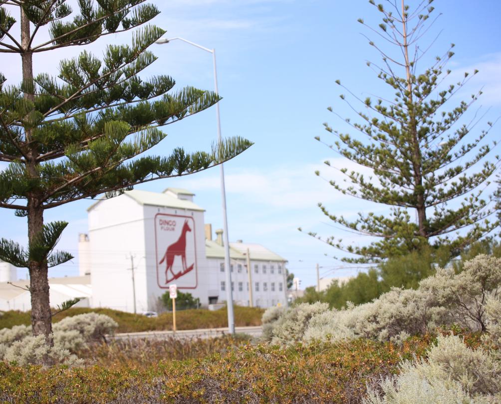 Dingo Flour Mill