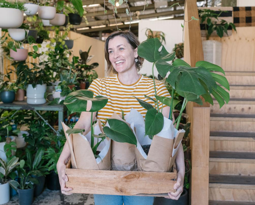 lady holding 3 pot plants in stackwood