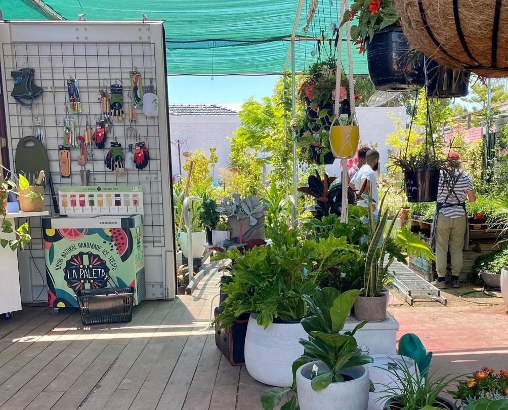 potplants and garden tools at harbour plants outdoor garden centre