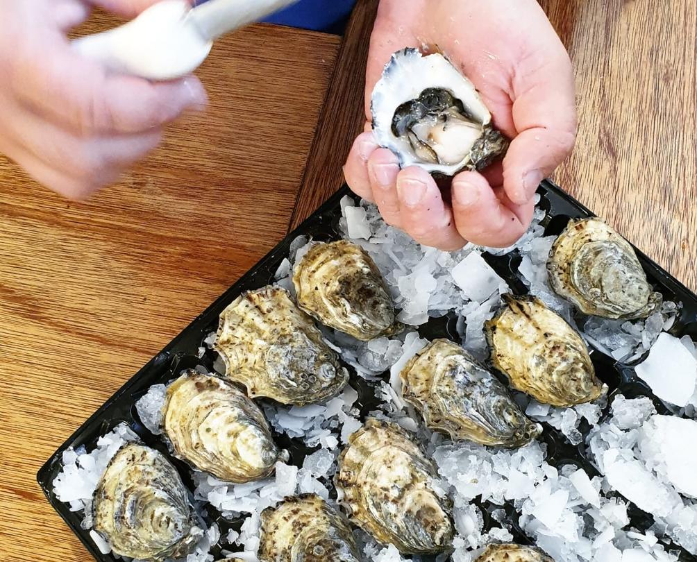 hand shucking oysters 