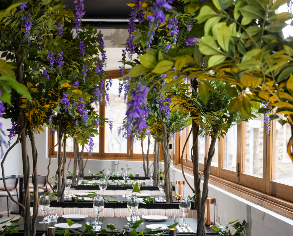 Cassia Fremantle