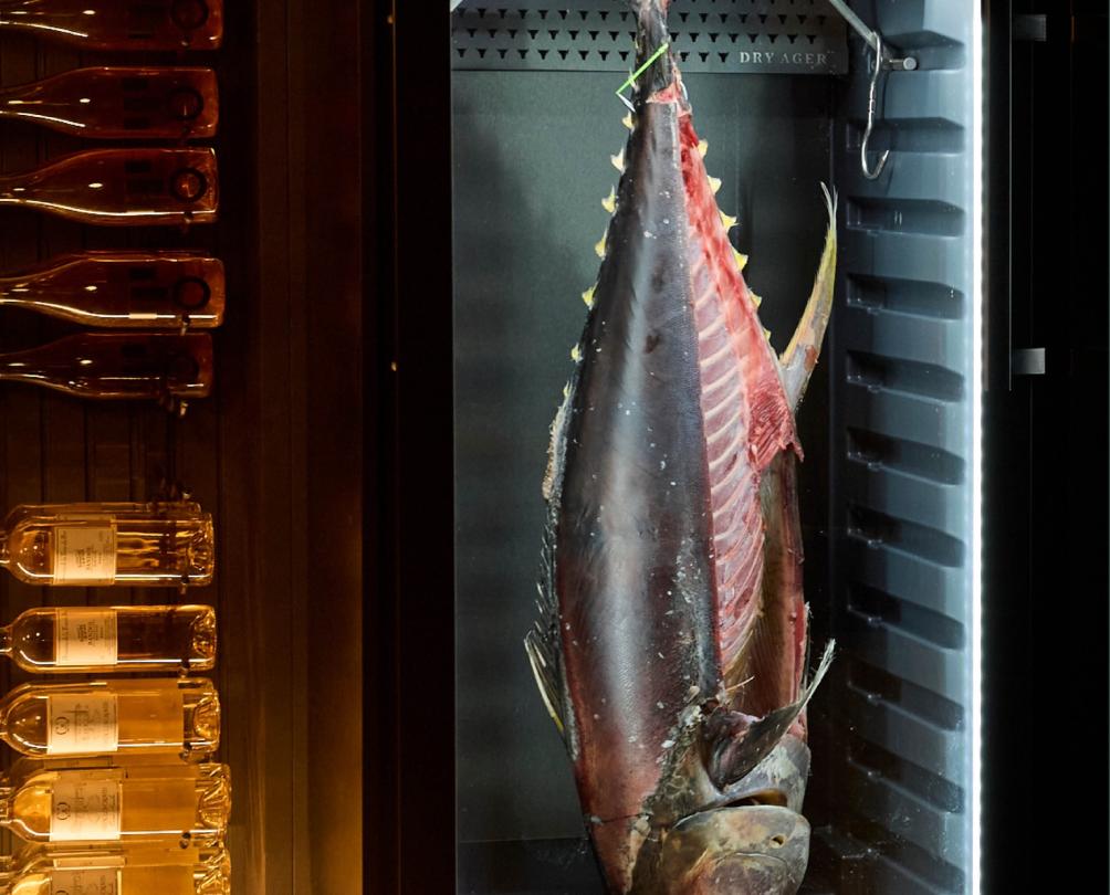 A large fish dry aging in a cabinet.