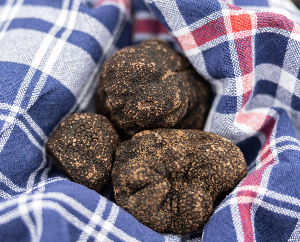 truffles in a basket