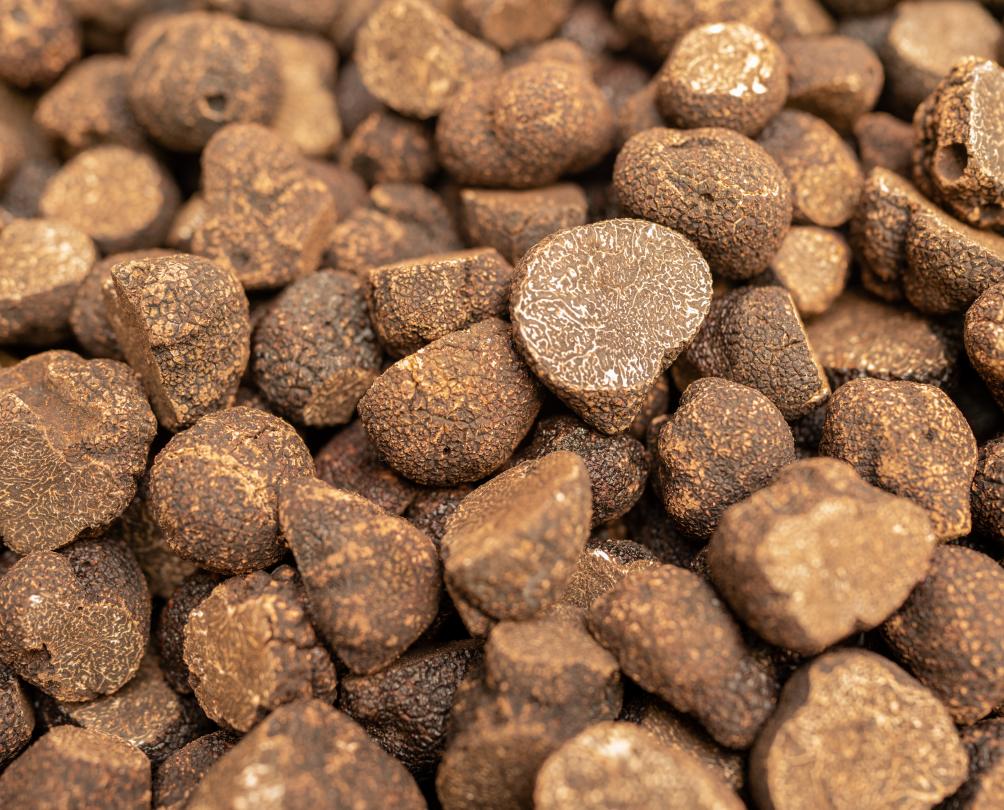 image of lots of truffles, close up 