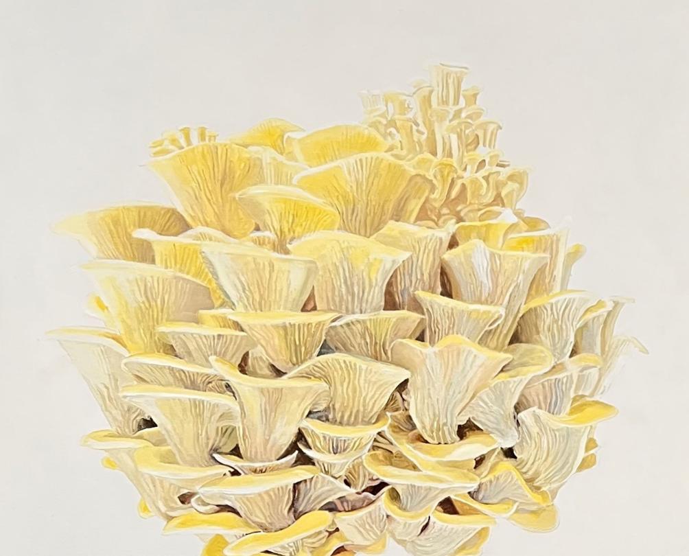 white and yellow flowers, EarlyWork Gallery, Flourish Exhibit, Fremantle WA 