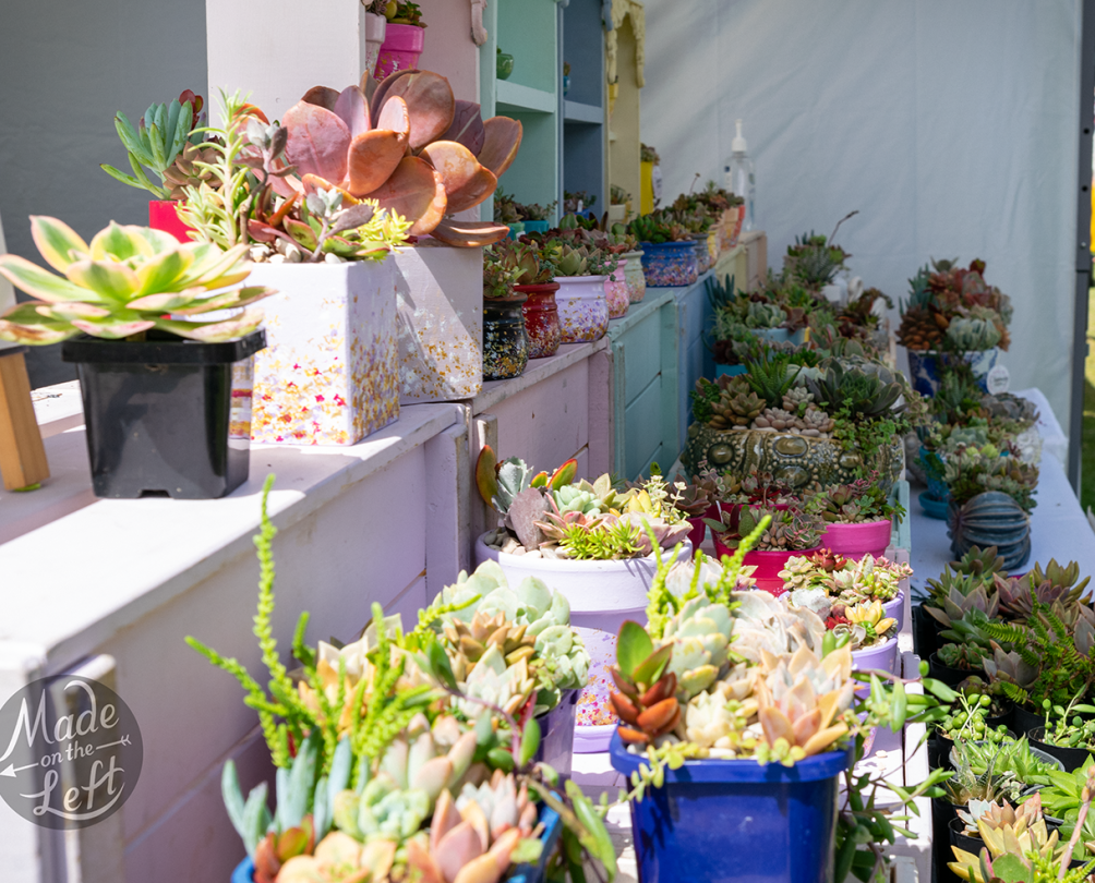 some plants for sale at a market stall for Made on the Left Markets 