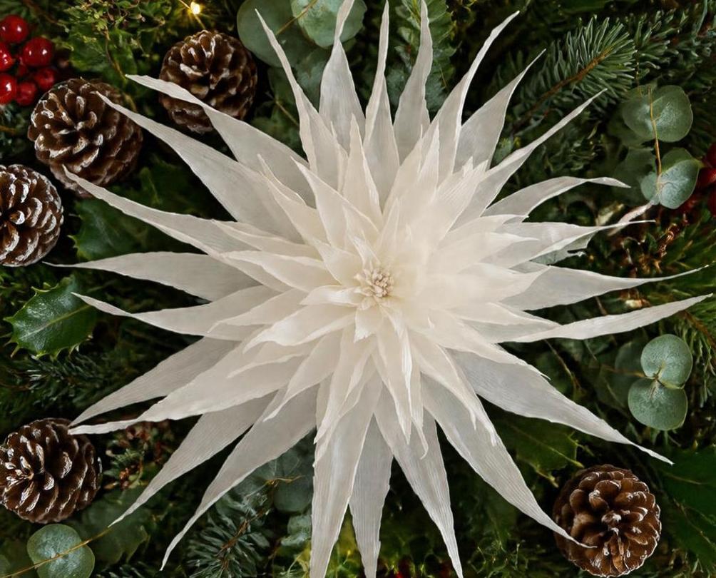 a star ornament at jotterbooks flower moon studio