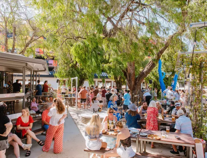 A large beer garden at a pub on a sunny day filled with people, with a big green tree in the middle.