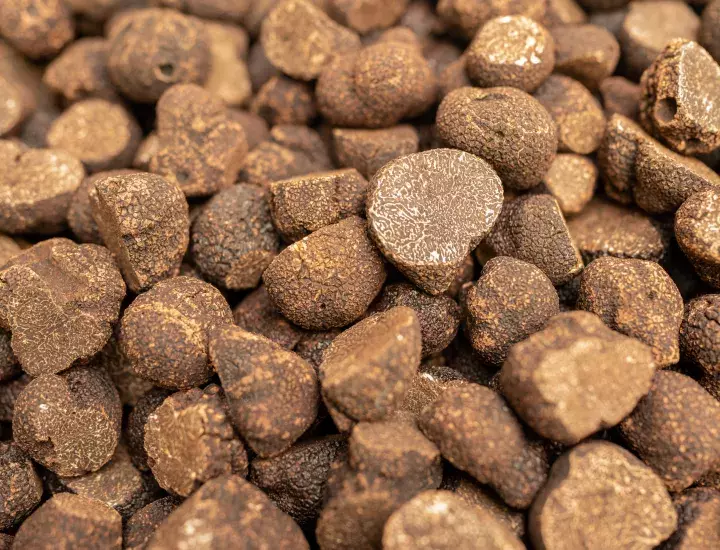 image of lots of truffles, close up 